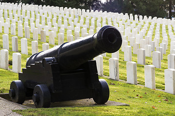 Image showing Large Military Cannon Stands Enlisted Men Cemetery Headstones Bu