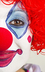 Image showing Half Clown