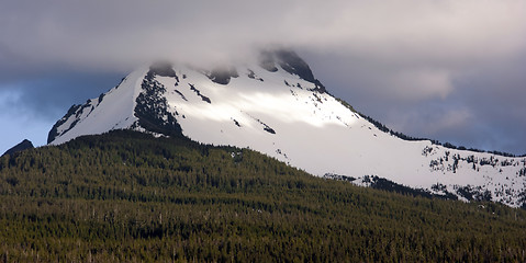 Image showing Majestic Snowcapped Mountain Peak Mt. Washington Oregon Cascade 