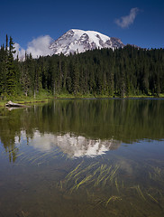 Image showing Vertical Composition Mt. Rainier Mirrored Reflction Lake Cascade