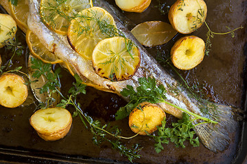 Image showing Baked Rainbow Trout Tail