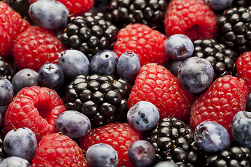 Image showing Berries