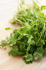 Image showing Fresh cilantro