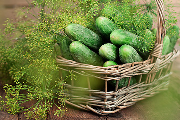 Image showing Harvest cucumbers in a basket