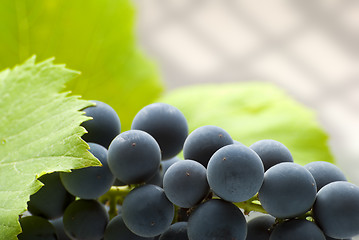 Image showing grape