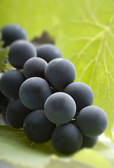 Image showing grapes