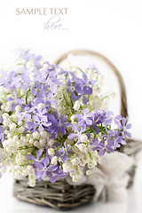 Image showing Spring flowers in basket