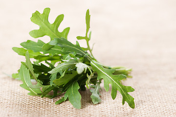 Image showing Ruccola 