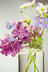 Image showing Beautiful spring flowers