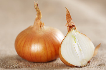 Image showing Onion on sacking