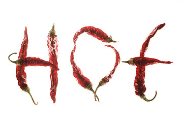 Image showing Red chilli peppers spelling the word 