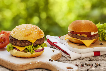 Image showing Tasty cheeseburger