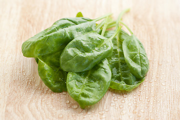 Image showing Fresh spinach