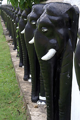 Image showing Elephants