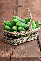 Image showing Harvest cucumbers in a basket