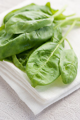 Image showing Fresh spinach