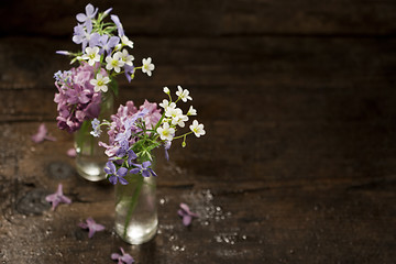 Image showing Beautiful spring flowers