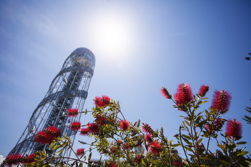 Image showing Batumi, Georgia