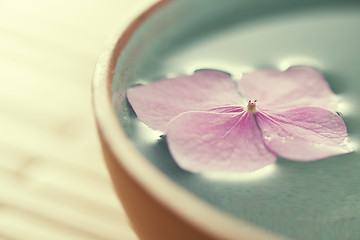 Image showing Flowers in bowl of water