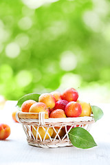 Image showing Fresh plums