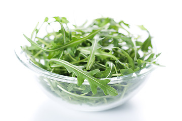 Image showing Rucola fresh salad