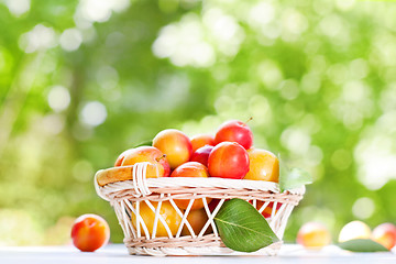 Image showing Fresh plums