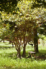 Image showing Bench in the park