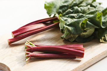 Image showing Rhubarb 