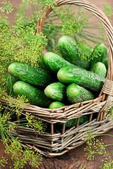 Image showing Harvest cucumbers in a basket