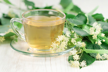 Image showing Cup of linden tea 