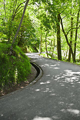 Image showing Road in the park