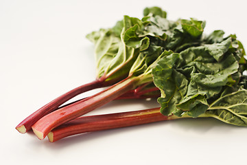 Image showing Fresh rhubarb