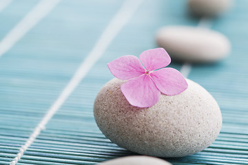 Image showing Zen stones and pink flowers