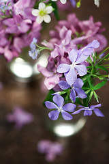 Image showing Beautiful spring flowers