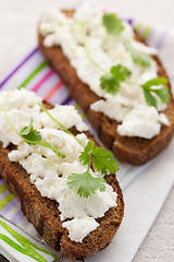 Image showing Sandwich with cottage cheese and coriander
