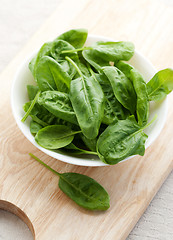 Image showing Fresh spinach