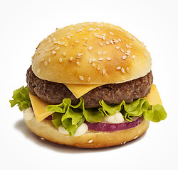 Image showing Tasty burger