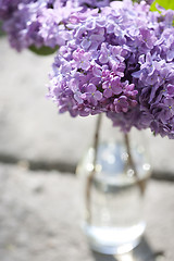 Image showing Bouquet of violet lilac