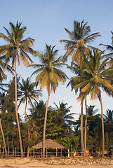 Image showing Sunset on the tropical beach