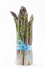 Image showing Asparagus