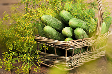 Image showing Harvest cucumbers in a basket