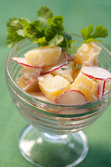 Image showing Radish and potato salad