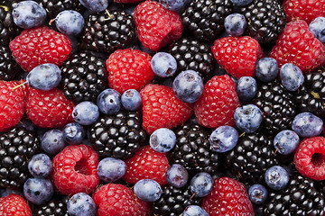 Image showing Berries