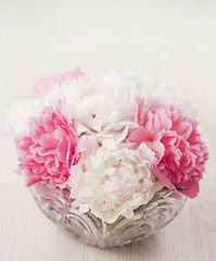 Image showing Peony flowers