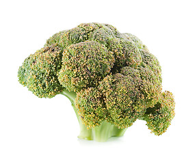 Image showing Broccoli