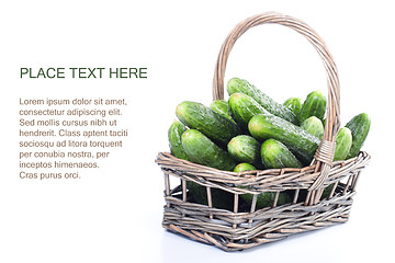 Image showing Harvest cucumbers in a basket 