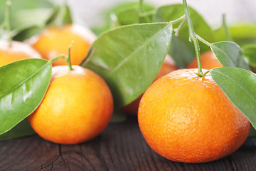 Image showing Ripe tangerines