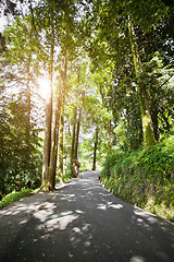 Image showing Road in the park