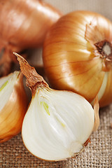 Image showing Onion on sacking