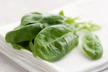 Image showing Fresh spinach